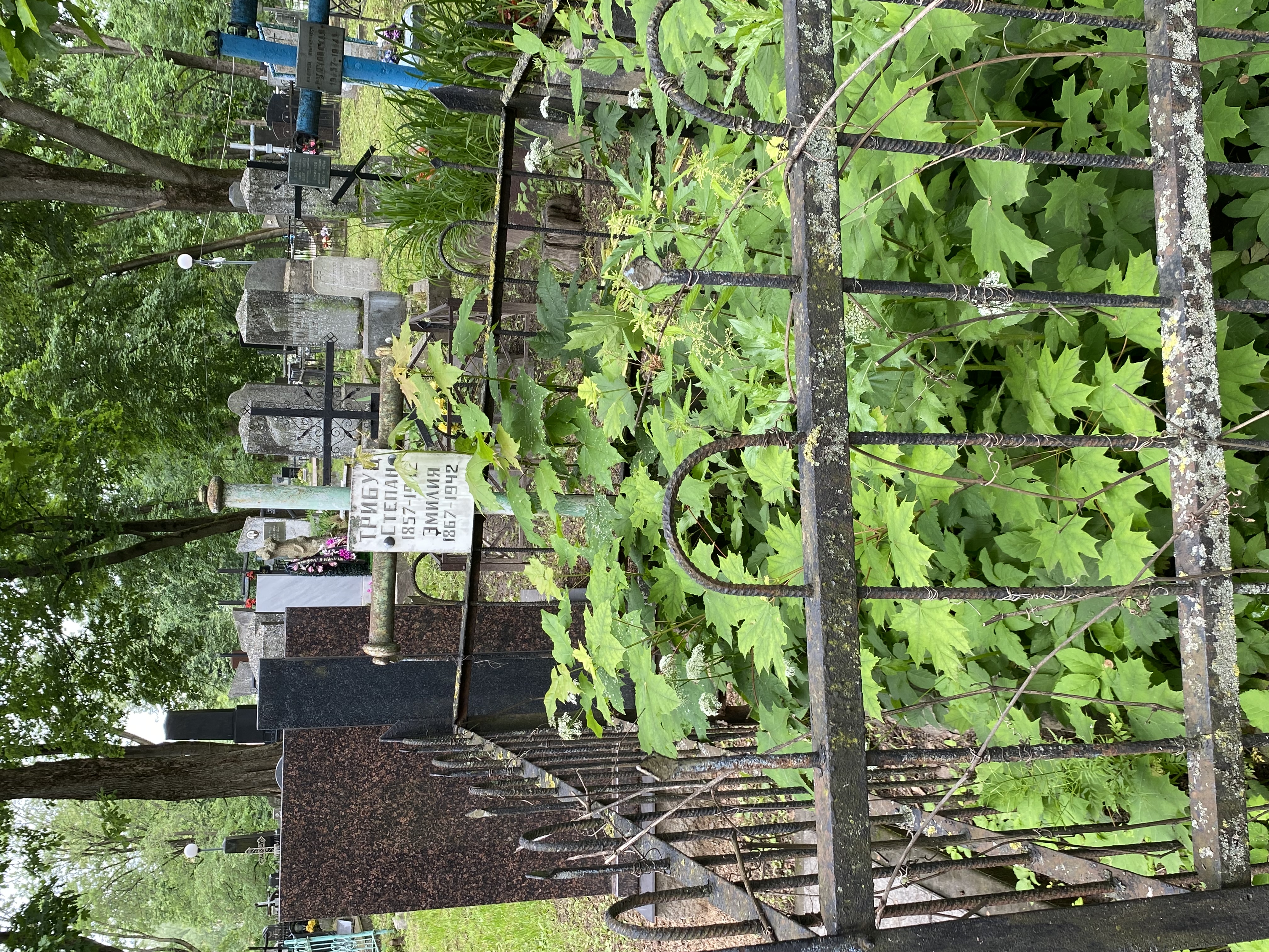 Фотография надгробия